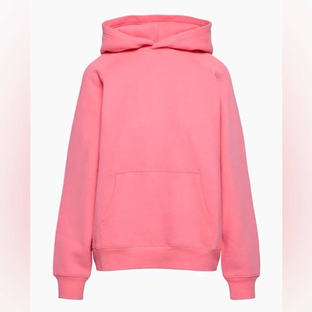 Aritzia Sweatsuit PINK (2 pc)